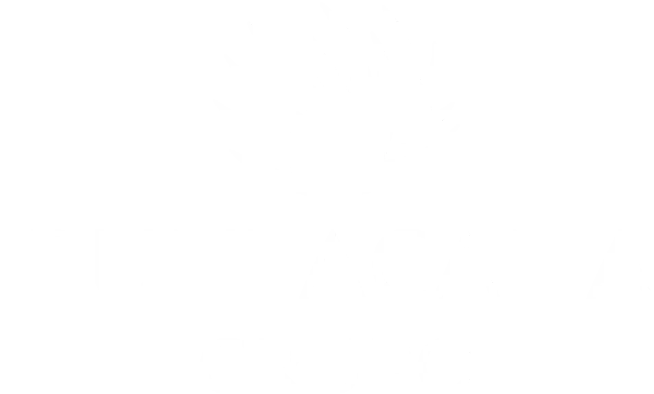 Puntacana Grupo
